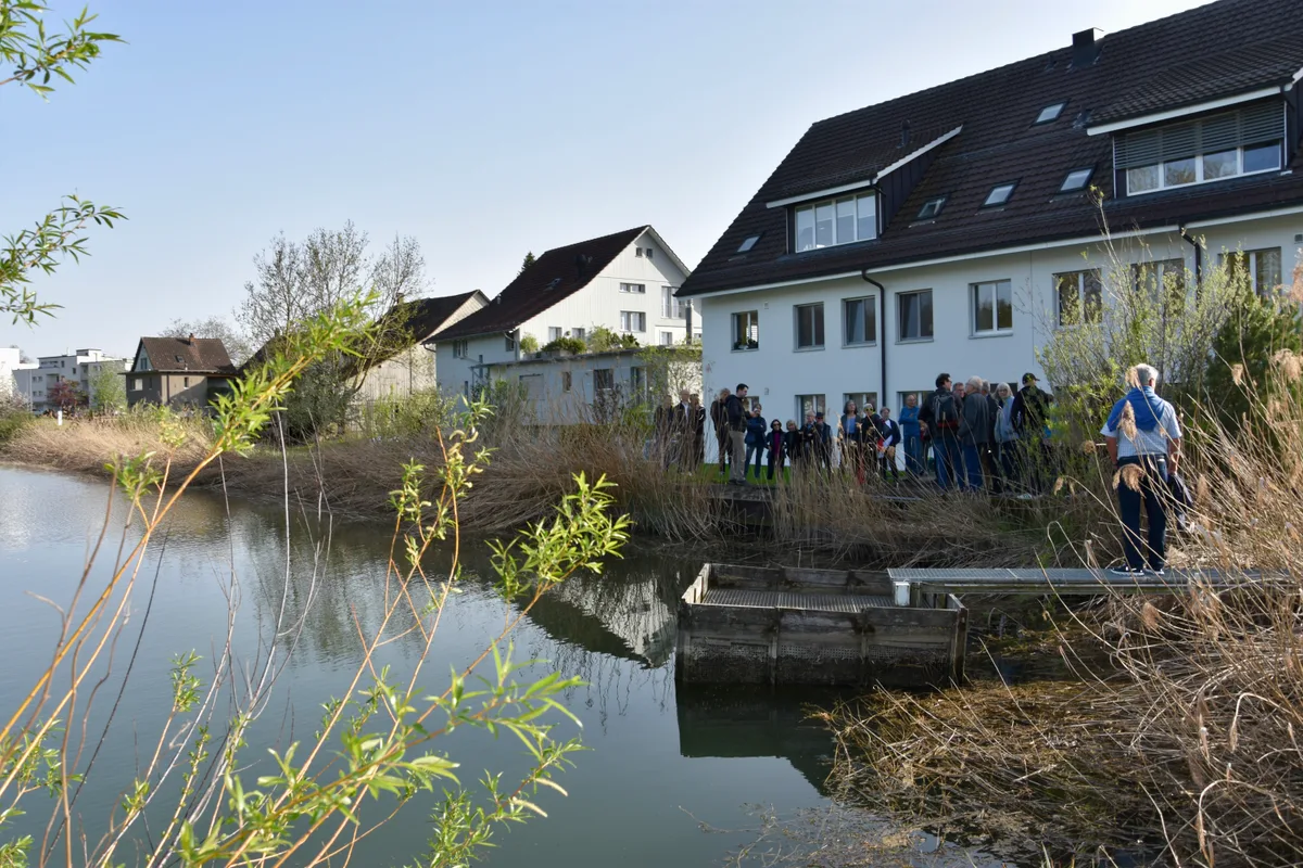 Die historisch-wissenschaftliche Begehung führte auch am Mühleweiher entlang. Ein Weiher, dahinter steht eine Häuserzeile.